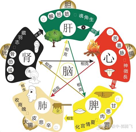 五行相侮|郭极中：如何理解五行中“相乘”和“相侮”？